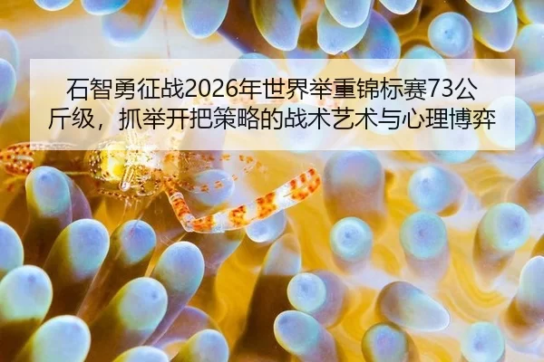 shi-zhi-yong-zheng-zhan-nian-shi-jie-ju-zhong-jin-biao-sai-gong-jin-ji-zhua-ju-kai-ba-ce-lve-de-zhan-shu-yi-shu-yu-xin-2-842.jpg